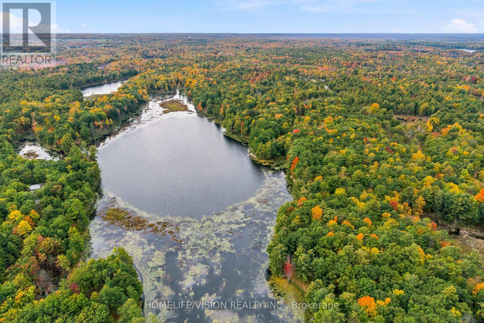 2862 Holleford Road, South Frontenac, ON photo 45