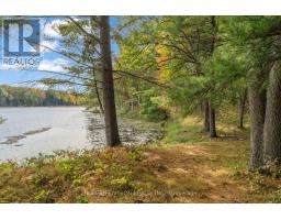 2862 Holleford Road, South Frontenac, ON K0H1W0 Photo 43