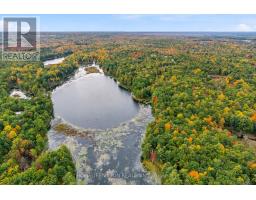 2862 Holleford Road, South Frontenac, ON K0H1W0 Photo 45