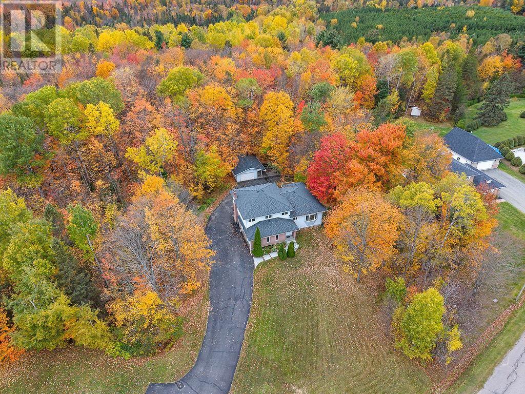123 Palomino DR - 43