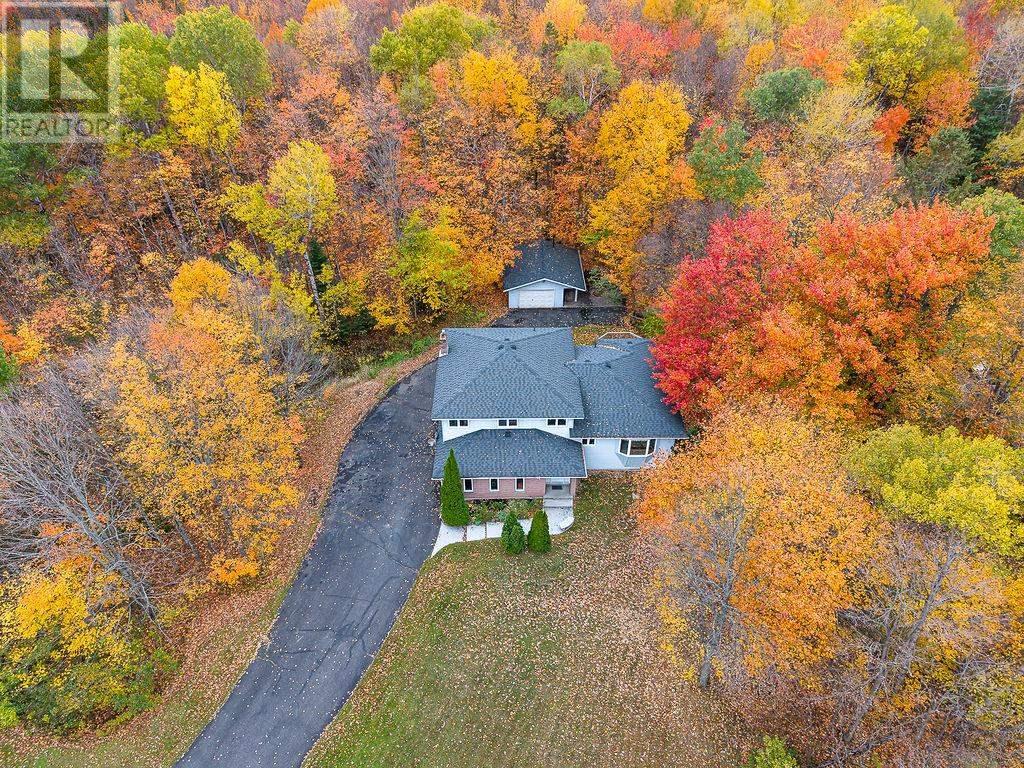 123 Palomino DR - 41