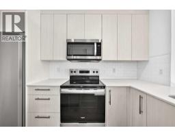 Furnace - 303, 6 Merganser Drive W, Chestermere, AB T1X2Y2 Photo 16