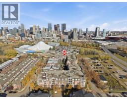 410, 59 22 Avenue Sw, Calgary, AB T2S3C7 Photo 27