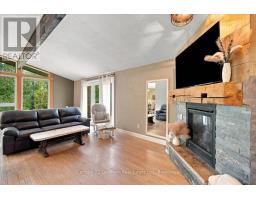 13056 Highway 62, Centre Hastings, ON K0K2K0 Photo 19