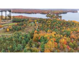 13056 Highway 62, Centre Hastings, ON K0K2K0 Photo 45