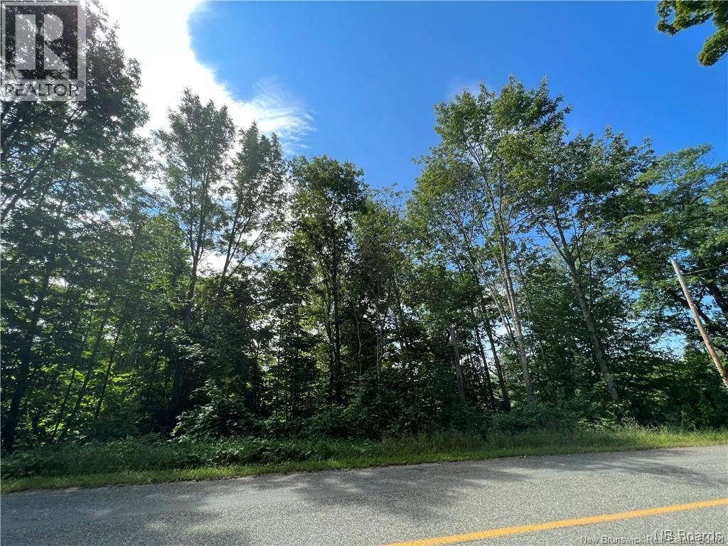 Vacant Lot 1 Route 105, Bear Island New Brunswick