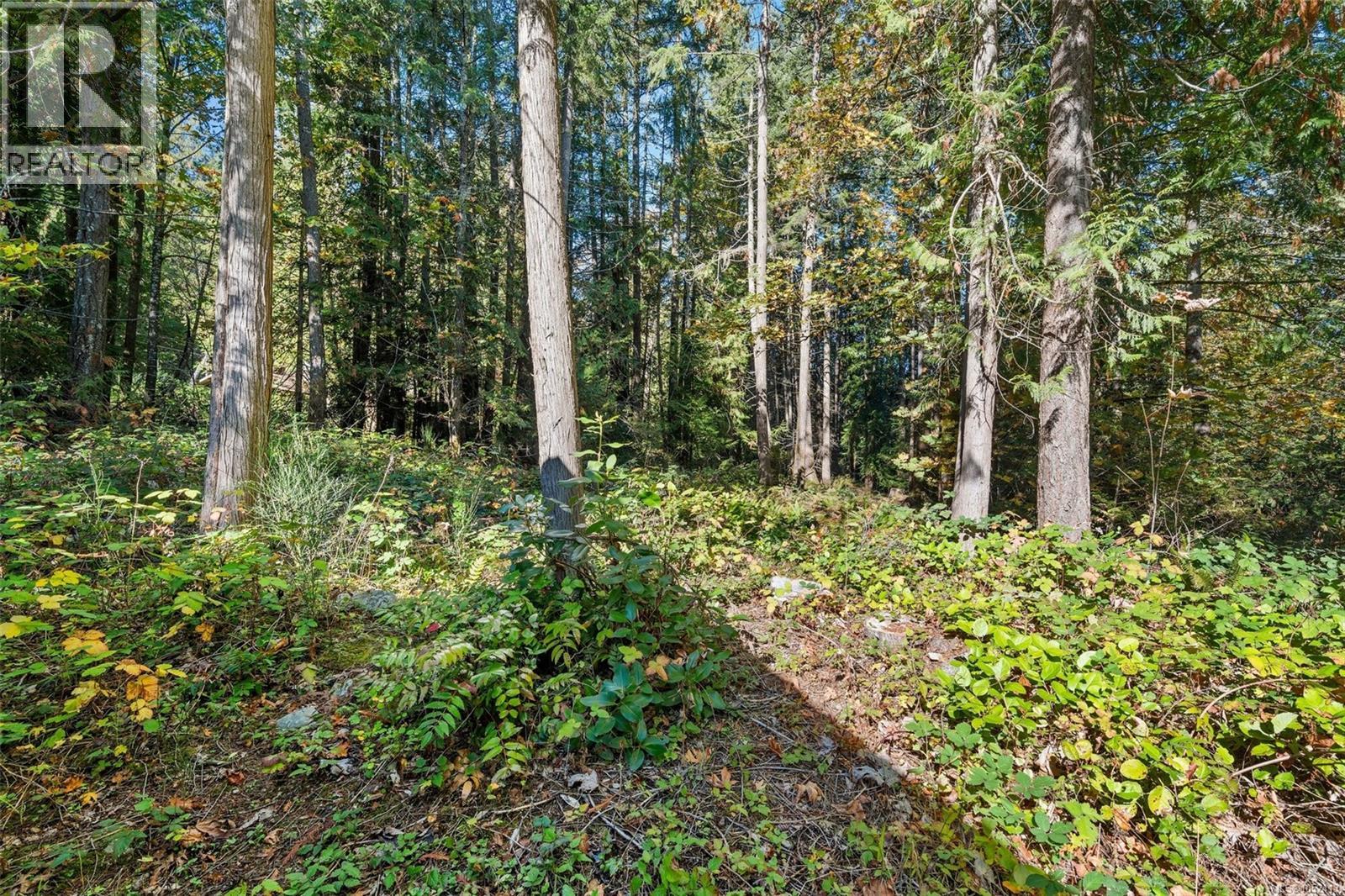 1549 Shawnigan Mill Bay Rd - 39