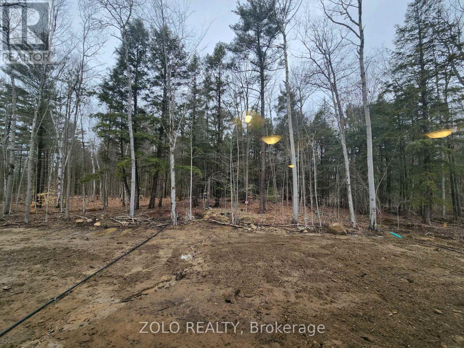 455 Beechwood Forest Lane — photo 20