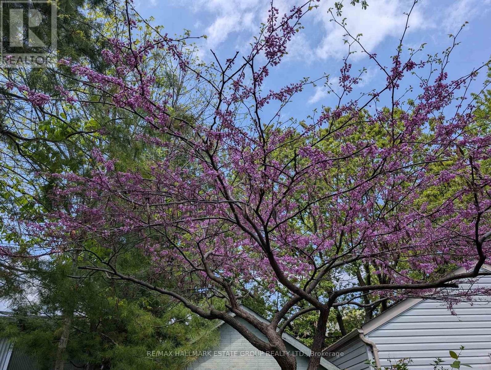 42 Fern Avenue — photo 45