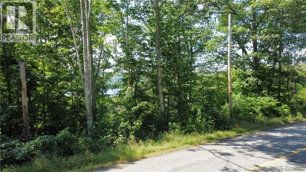 Vacant Lot 2 Route 105 photo 3
