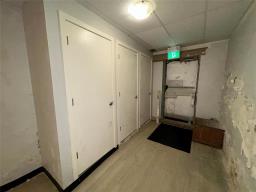 290 Beverley Street, Winnipeg, MB R3G1T7 Photo 24