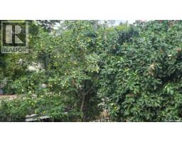 418 Railway Avenue, Rosthern, SK S0K3R0 Photo 36