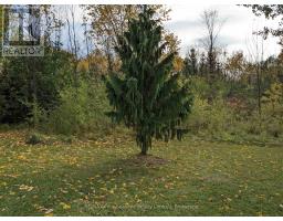 103 Robertson Avenue, Meaford, ON N4L1W7 Photo 23