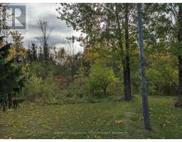 103 Robertson Avenue, Meaford, ON N4L1W7 Photo 24