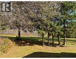 10096 Route 105, Beechwood, NB E7J2A4 Photo 25