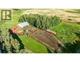 3pc Bathroom - 40022 Range Road 31, Rural Lacombe County, AB T0M0X0 Photo 9