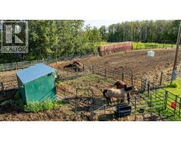 Furnace - 40022 Range Road 31, Rural Lacombe County, AB T0M0X0 Photo 16