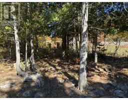 20211 Highway 6, Tehkummah, Manitoulin Island, ON P0P2C0 Photo 29