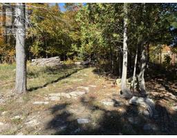 20211 Highway 6, Tehkummah, Manitoulin Island, ON P0P2C0 Photo 30