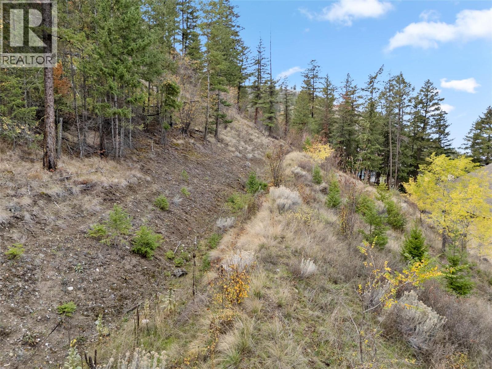 4732 Uplands Drive - 74