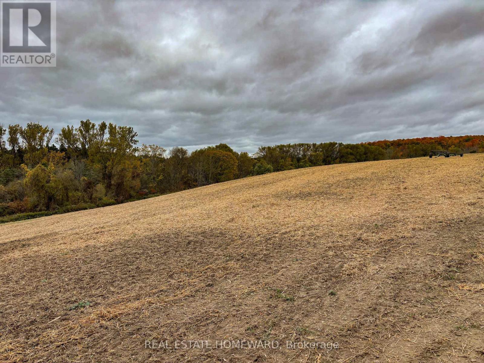 937082 AIRPORT Road West, Mulmur, ON photo 29