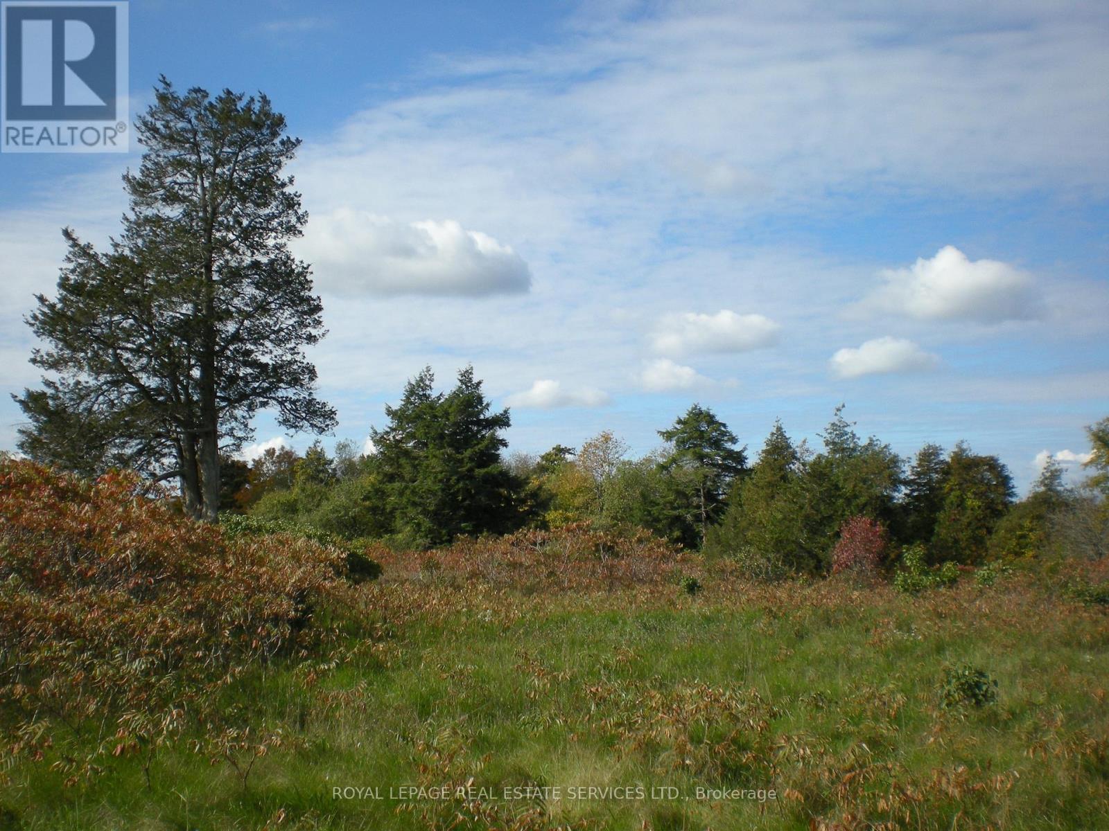 LT 27 PT 3 COUNTY RD 10, Prince Edward County (South Marysburg Ward) — photo 10