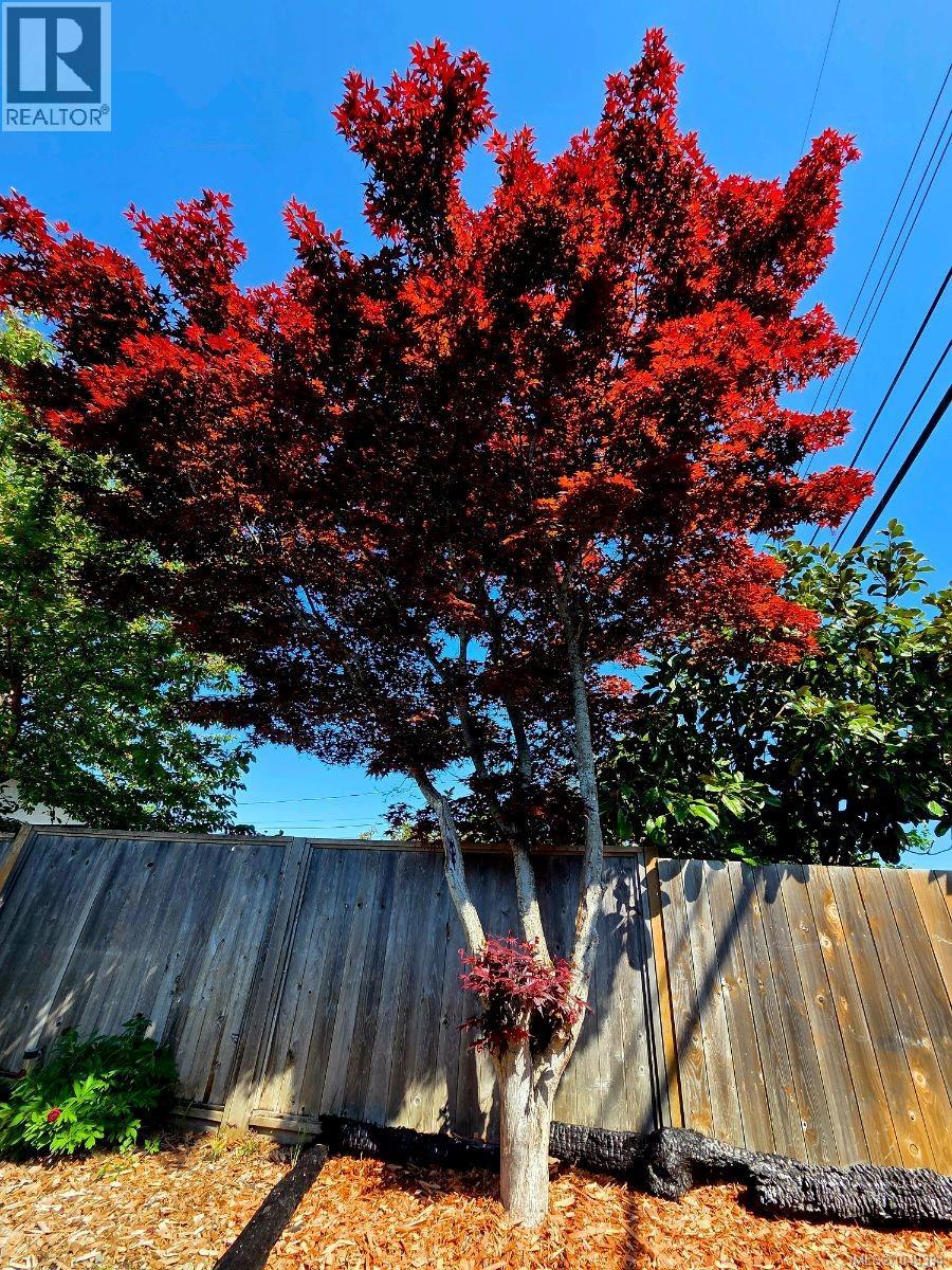 2685 2nd Ave - 47