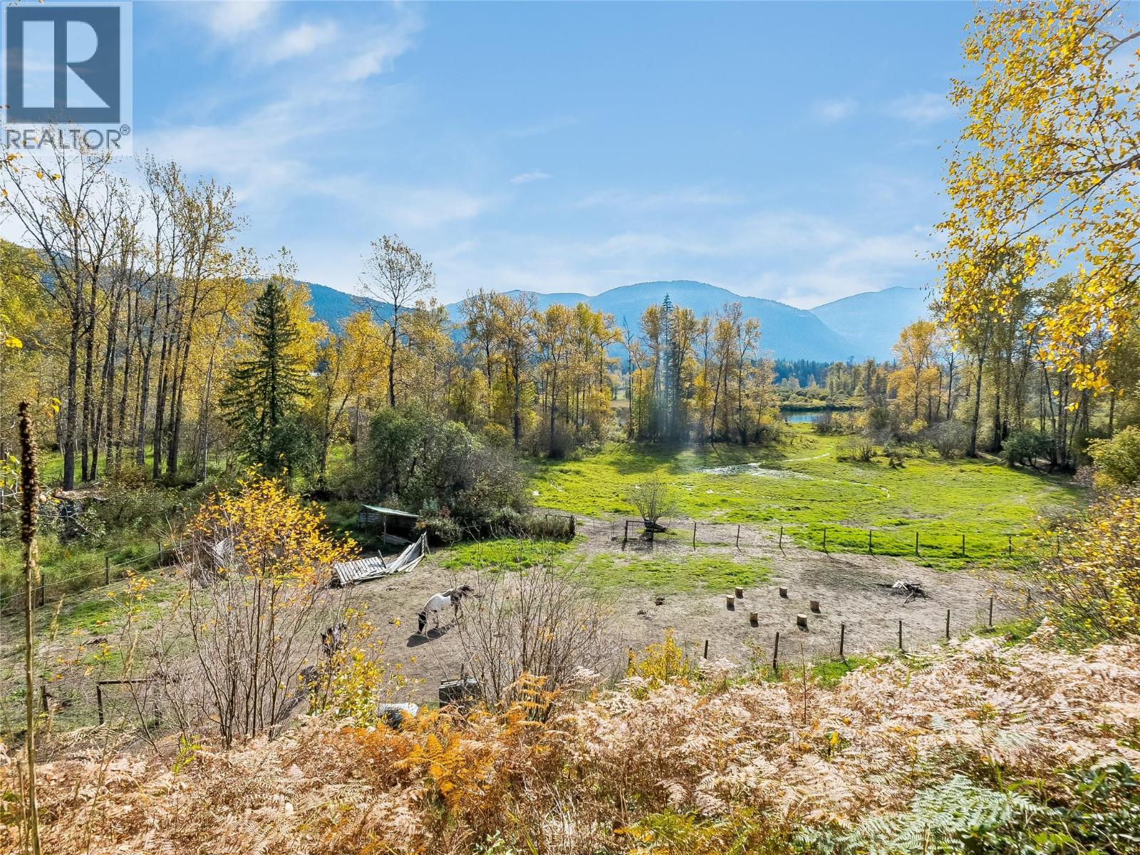 6238 Youngs Road - 44