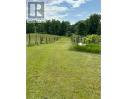 224 Christiani Road, Quinte West, ON K0K1H0 Photo 16