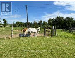 224 Christiani Road, Quinte West, ON K0K1H0 Photo 15