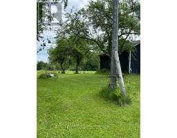 224 Christiani Road, Quinte West, ON K0K1H0 Photo 18