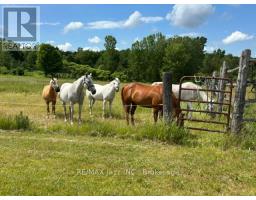 224 Christiani Road, Quinte West, ON K0K1H0 Photo 17
