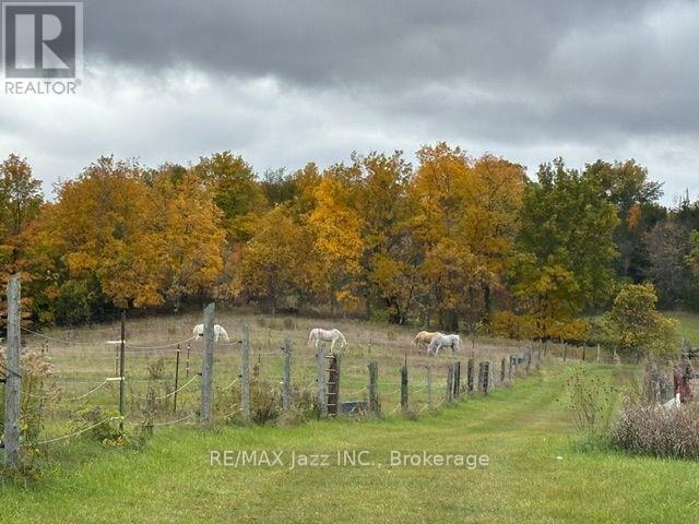 224 Christiani Road — photo 29