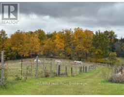 224 Christiani Road, Quinte West, ON K0K1H0 Photo 29