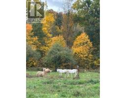 224 Christiani Road, Quinte West, ON K0K1H0 Photo 31