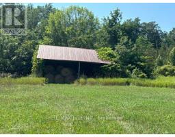 224 Christiani Road, Quinte West, ON K0K1H0 Photo 36