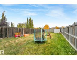 1947 118 St Sw, Edmonton, AB T6W2E4 Photo 37