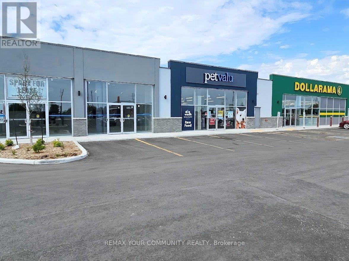 364 CHATHAM STREET S, Chatham-Kent (Blenheim) — photo 4