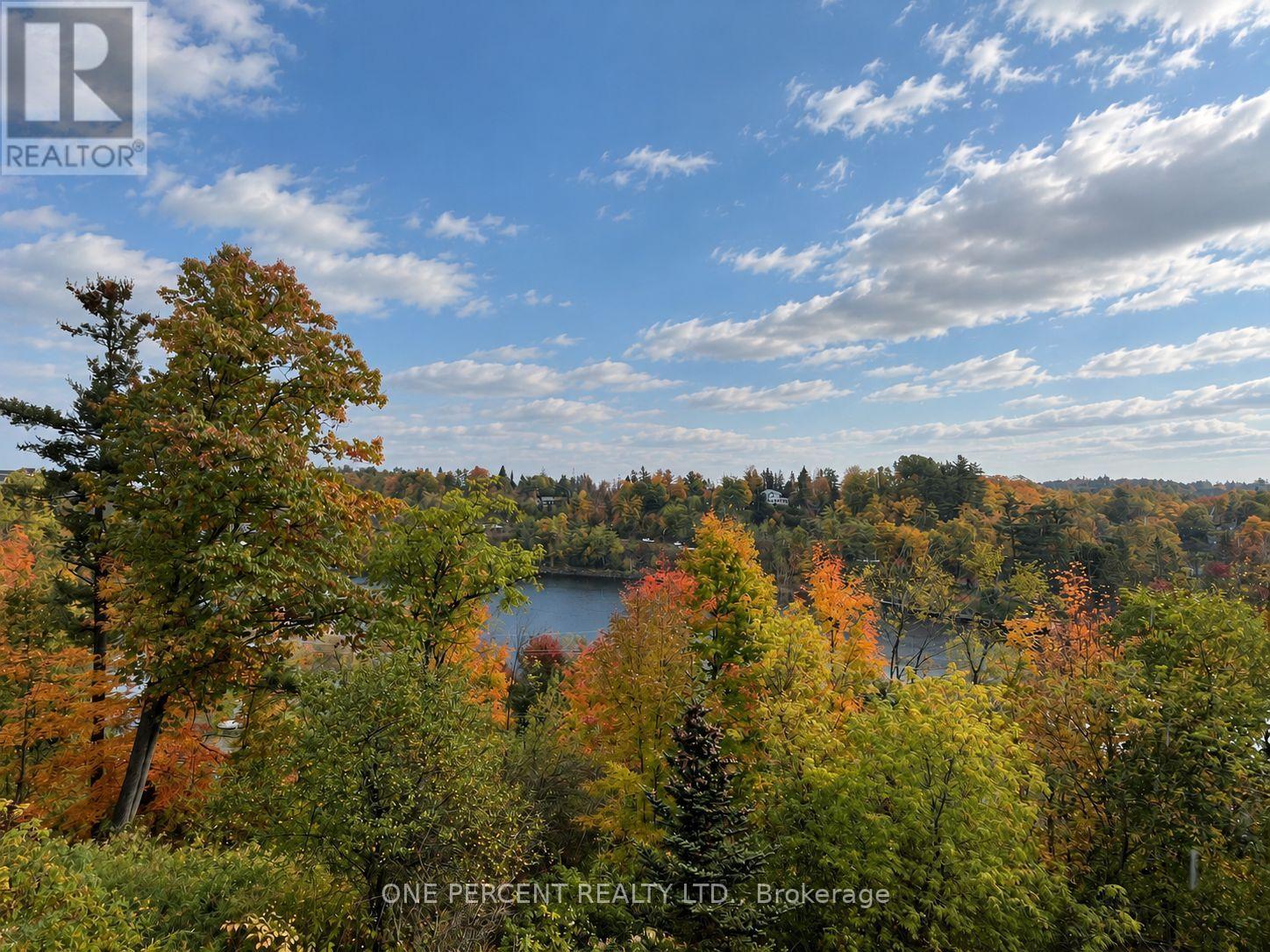 113- 10 B Kimberley Avenue, Bracebridge, ON photo 44