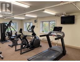113 - 10 B Kimberley Avenue, Bracebridge, ON P1L0A6 Photo 47
