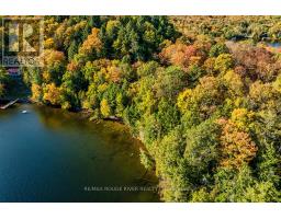 0 Thompson Portage Road, Lake Of Bays, ON P0A1H0 Photo 11