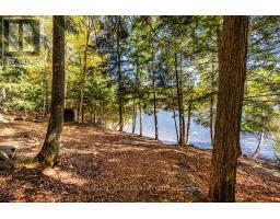 0 Thompson Portage Road, Lake Of Bays, ON P0A1H0 Photo 13