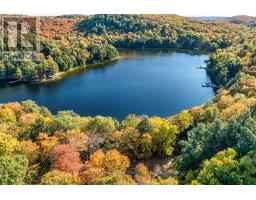 0 Thompson Portage Road, Lake Of Bays, ON P0A1H0 Photo 10