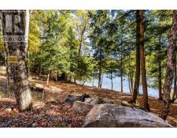 0 Thompson Portage Road, Lake Of Bays, ON P0A1H0 Photo 12