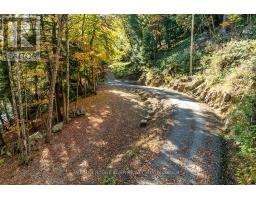 0 Thompson Portage Road, Lake Of Bays, ON P0A1H0 Photo 15