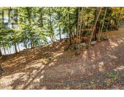 0 Thompson Portage Road, Lake Of Bays, ON P0A1H0 Photo 21
