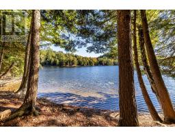 0 Thompson Portage Road, Lake Of Bays, ON P0A1H0 Photo 14
