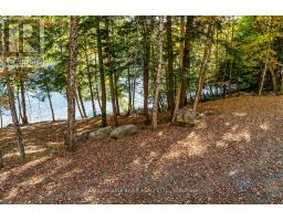 0 Thompson Portage Road, Lake Of Bays, ON P0A1H0 Photo 20
