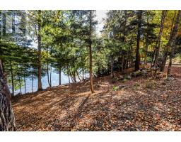0 Thompson Portage Road, Lake Of Bays, ON P0A1H0 Photo 18