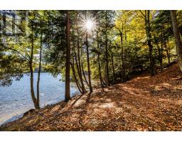 0 Thompson Portage Road, Lake Of Bays, ON P0A1H0 Photo 23